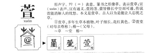 萱筆劃|【萱】字典解释,“萱”字的標準筆順,粵語拼音,中文電碼,規範讀音,偏。